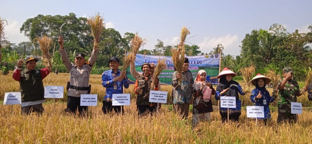 Aplikasikan Genta Organik, Petani Tegal Sukses Tingkatkan Produksi Padi 